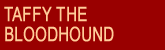 Taffy the Bloodhound